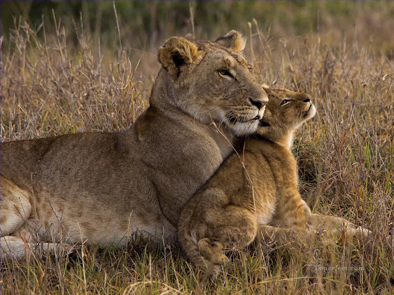 ライオンの赤ちゃんとお母さん油絵